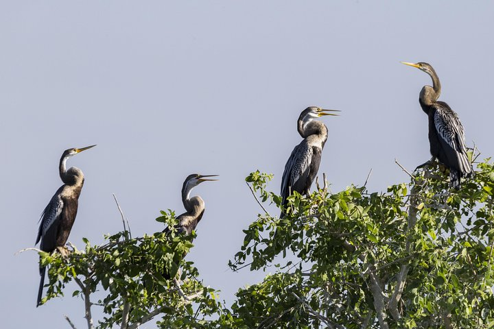 Bundala National Park Private Safari with Naturalist - Photo 1 of 12